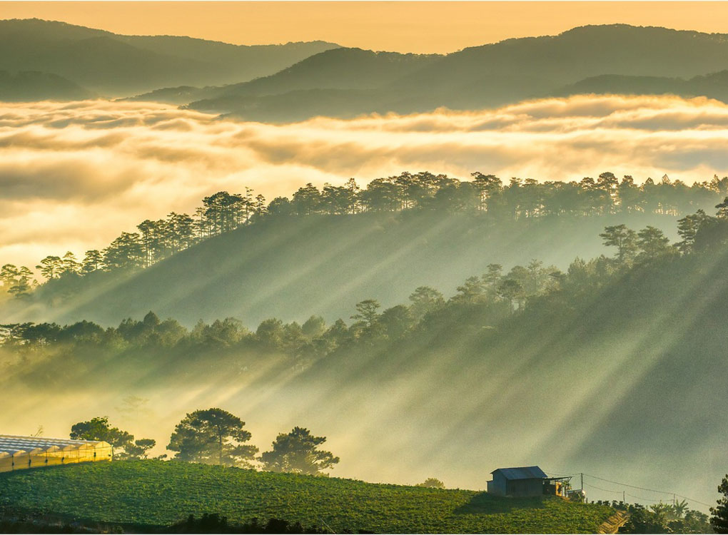 Khám phá 10 thác nước Đà Lạt đẹp ở cao nguyên Lâm Đồng
