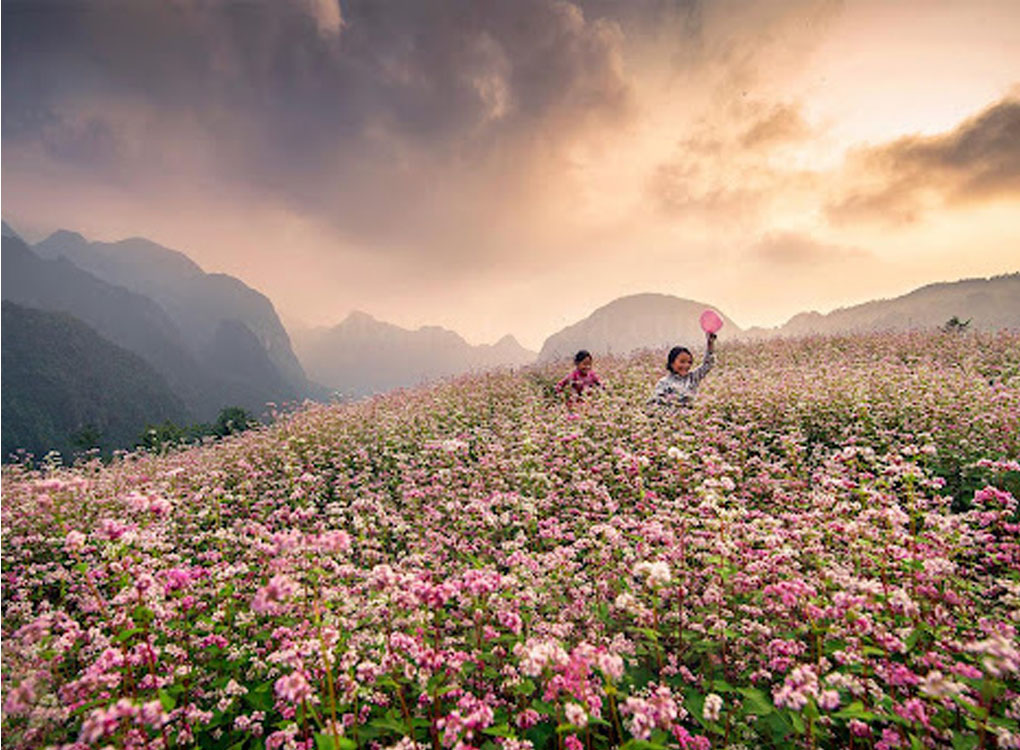Khám phá 9 điểm đến đẹp nhất Việt Nam bạn nên check-in 1 lần trong đời