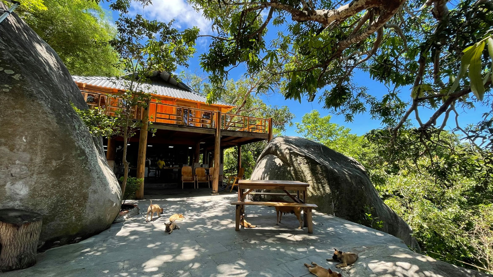 Mango House, homestay giữa lưng chừng núi view đẹp mê hồn trên đảo Hòn Sơn