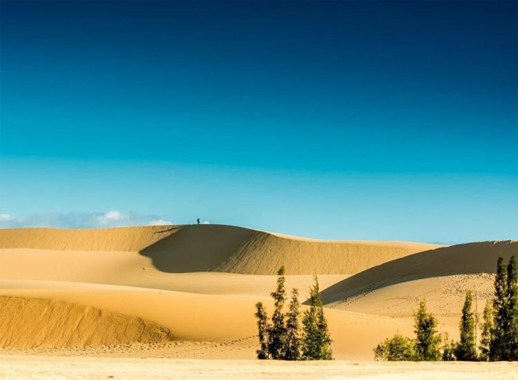 Bỏ túi những đồi cát đẹp nhất miền Trung