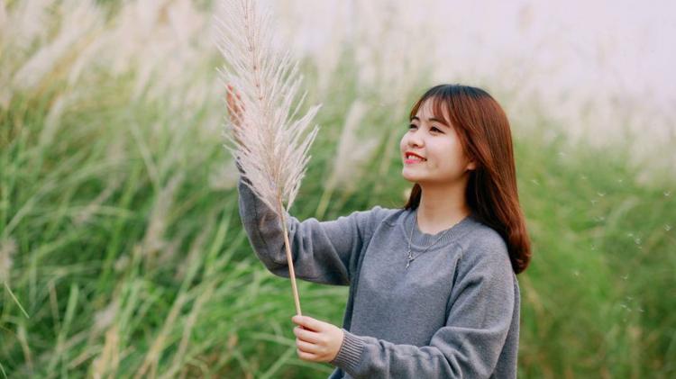 Con đường cỏ lau rực rỡ dịp cuối năm ở Cần Giờ