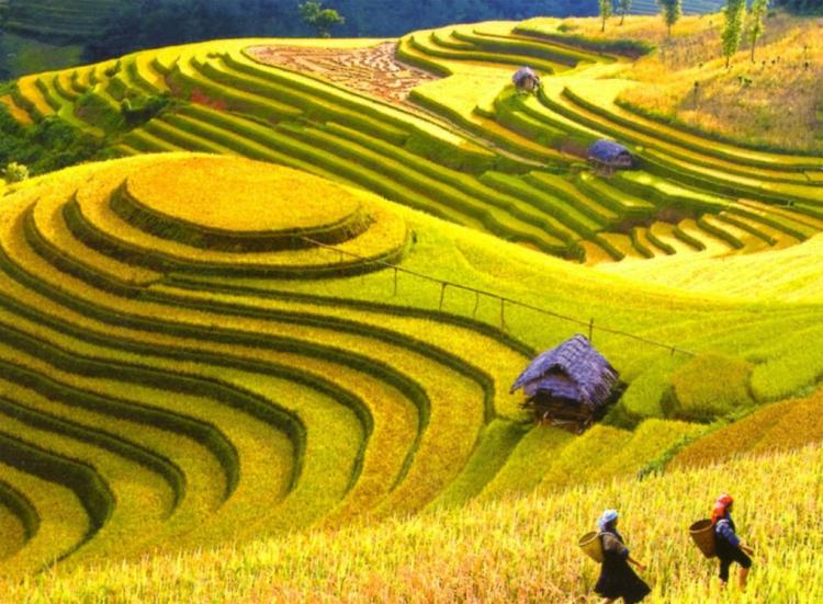 Khám phá  9 điểm du lịch Tây Bắc nổi tiếng nhất định phải đến