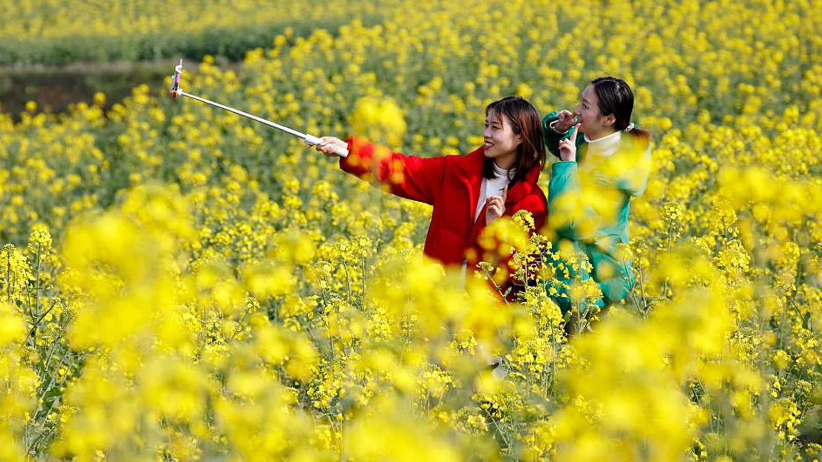 Sắc hoa xuân ở Trung Quốc