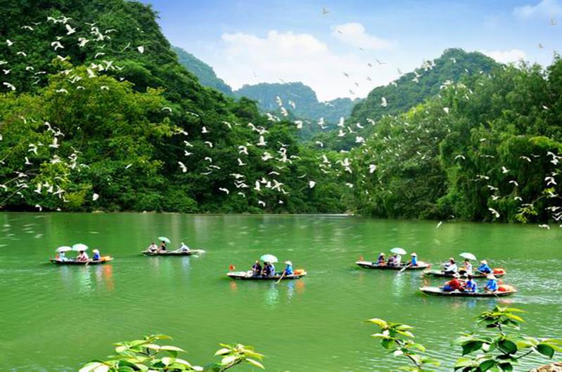 Khám phá vườn chim Thung Nham