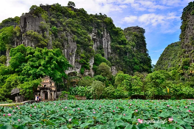 Kinh nghiệm du lịch Tam Cốc Bích Động (Cập nhật 2/2026)