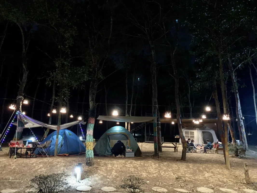 Homestay My Camping Sóc Sơn Hà Nội