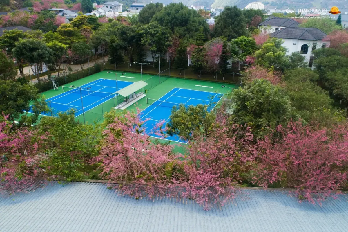 Thảo Nguyên Resort Mộc Châu