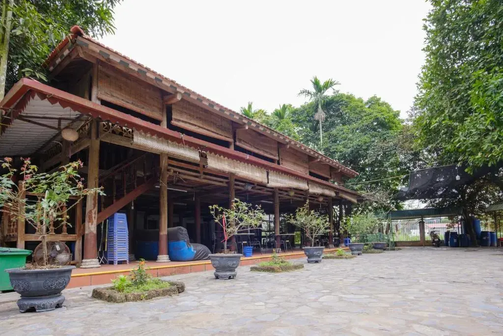 Homestay Homestead Ba Vì Hà Nội