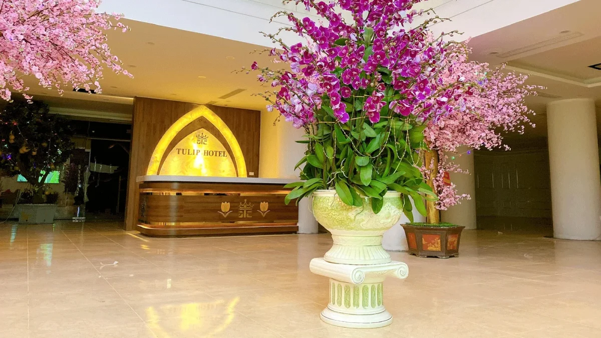 Khách sạn Tulip Hotel Ninh Bình