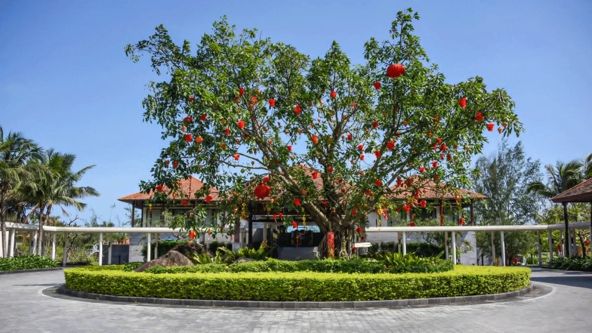 Villa Banyan Tree Lăng Cô Huế Thừa Thiên Huế