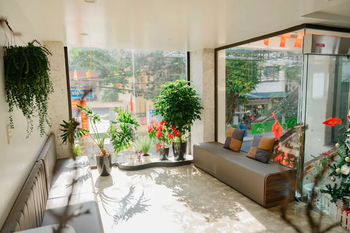 Khách sạn Cát Bà Flora Hotel