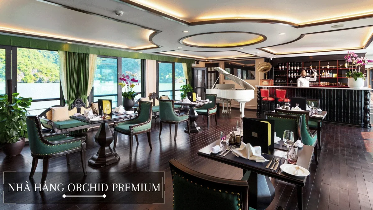 Du thuyền Orchid Premium Cruise Hạ Long