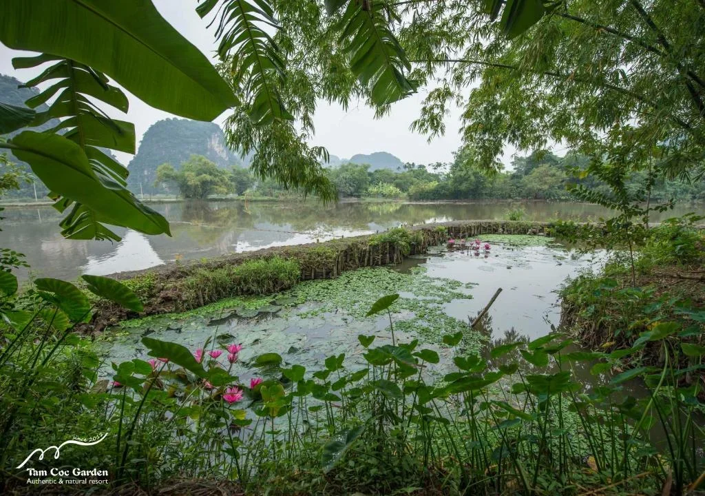 Resort Tam Cốc Garden - Authentic & Natural Ninh Bình
