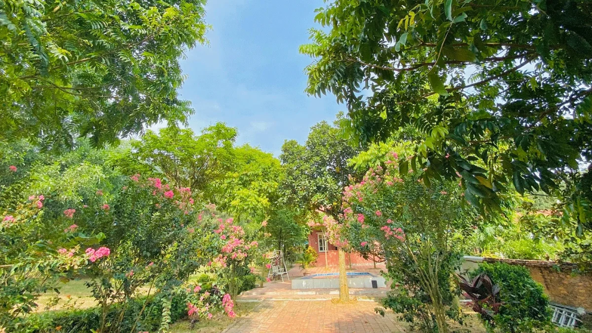 Villa Pink House Sóc Sơn Hà Nội