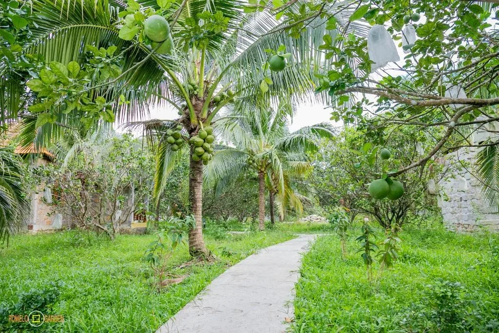 Resort Phú Quốc Pomelo Garden