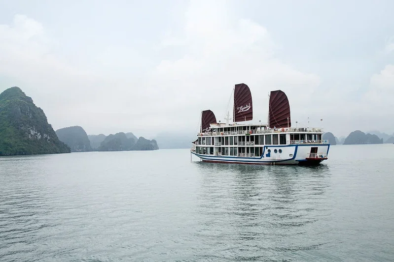 Du thuyền Lotus D'orient Cruise - Lapinta Hạ Long