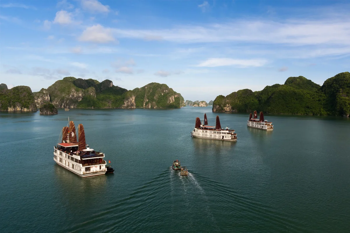 Du thuyền Pelican Glory Hạ Long Cruise