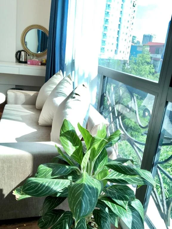 Khách sạn Honeymoon Hotel & Apartment Hà Nội