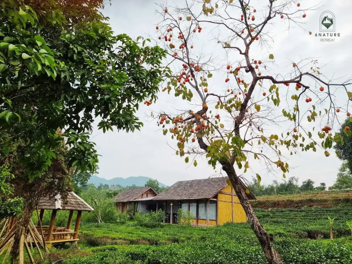 Khu nghỉ dưỡng 6 Nature Ba Vì Retreat Hà Nội