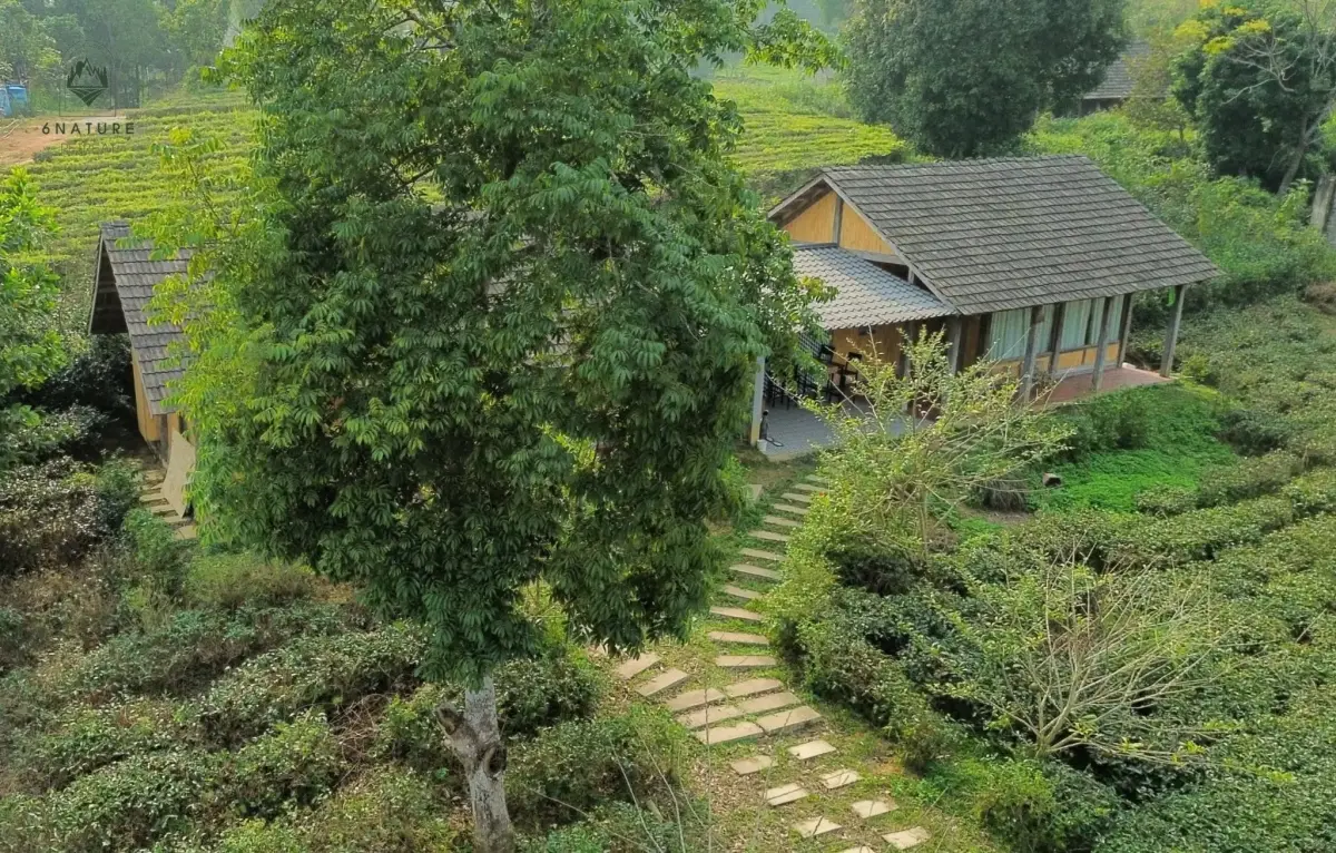 Khu nghỉ dưỡng 6 Nature Ba Vì Retreat Hà Nội