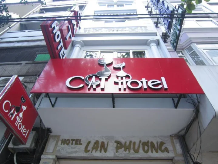 Cat Hotel Hồ Chí Minh