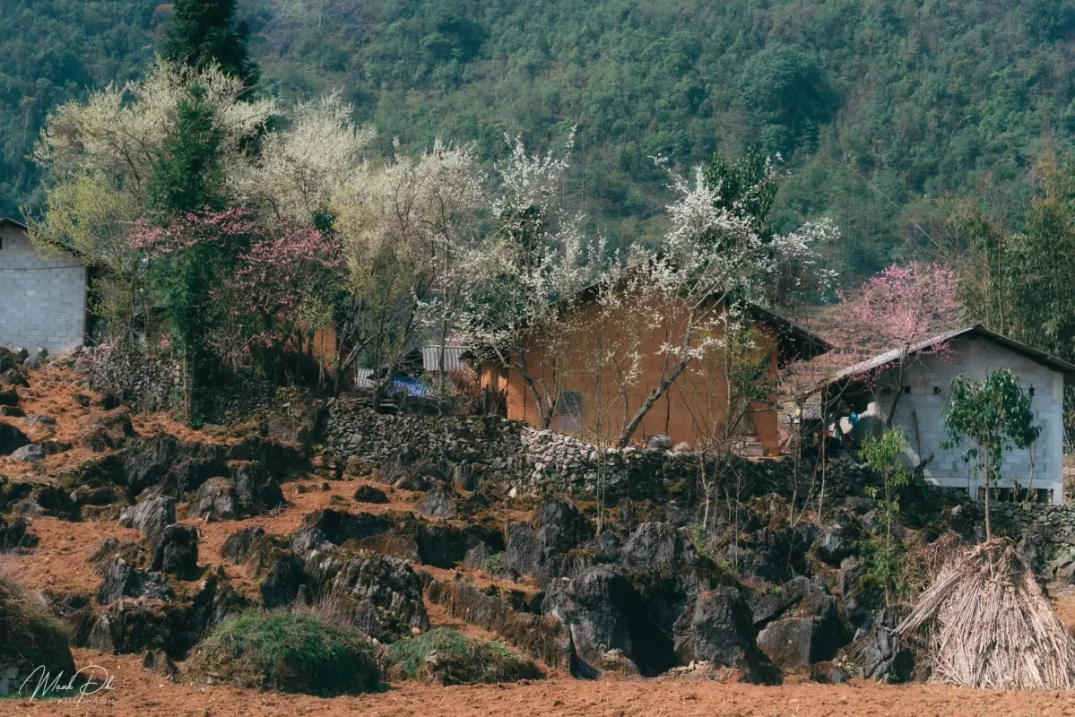 Homestay Thượng An II Hà Giang