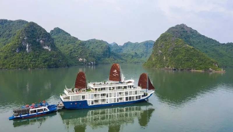 Lotus D'Orient Cruise Hạ Long