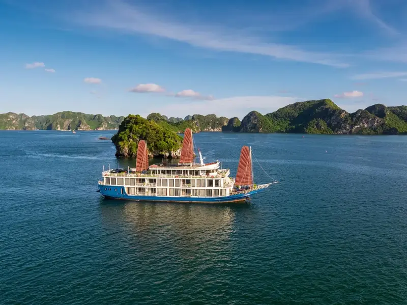 Verdure Lotus Cruise Classic