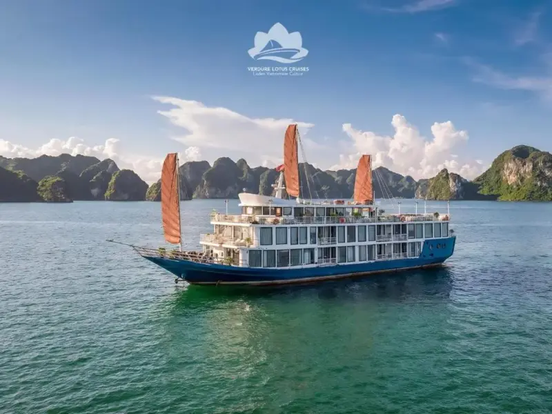 Verdure Lotus Cruise Classic