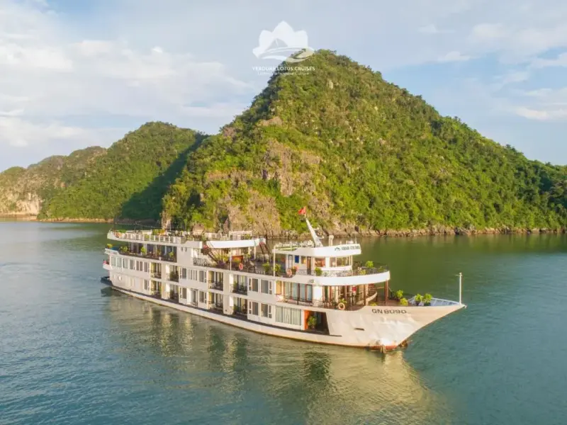Verdure Lotus Grandeur Cruise