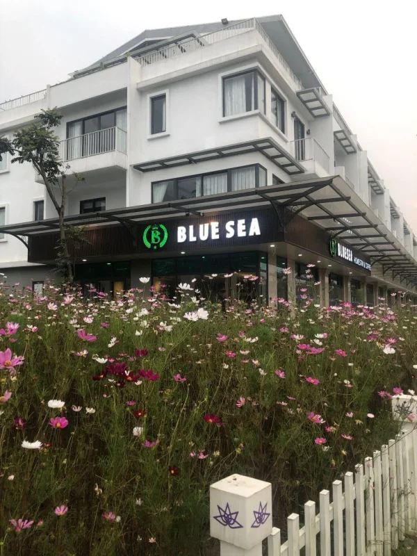 Blue Sea Homestay Huế Thừa Thiên Huế