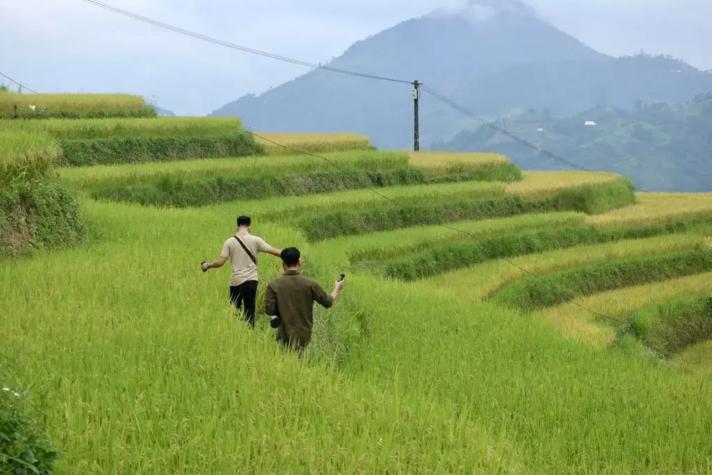 Khu nghỉ dưỡng Bồng Bềnh Retreat Hà Giang