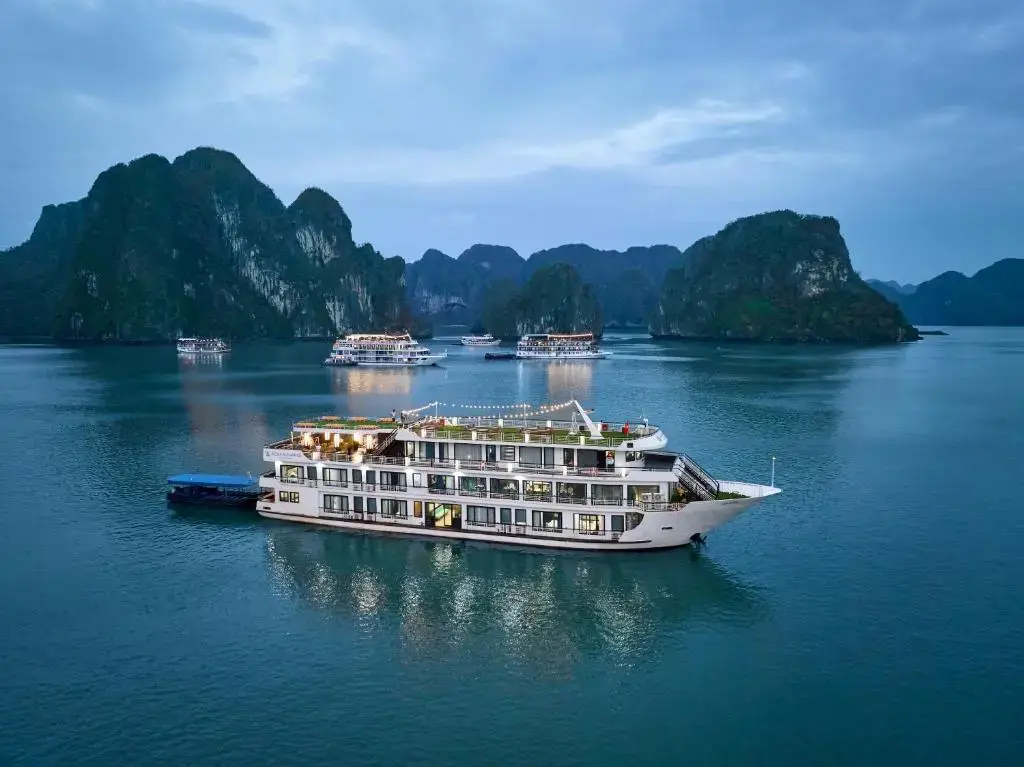 Du thuyền Amanda Pearl Cruise Hạ Long