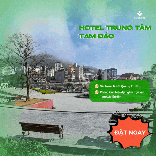 Tam Đảo