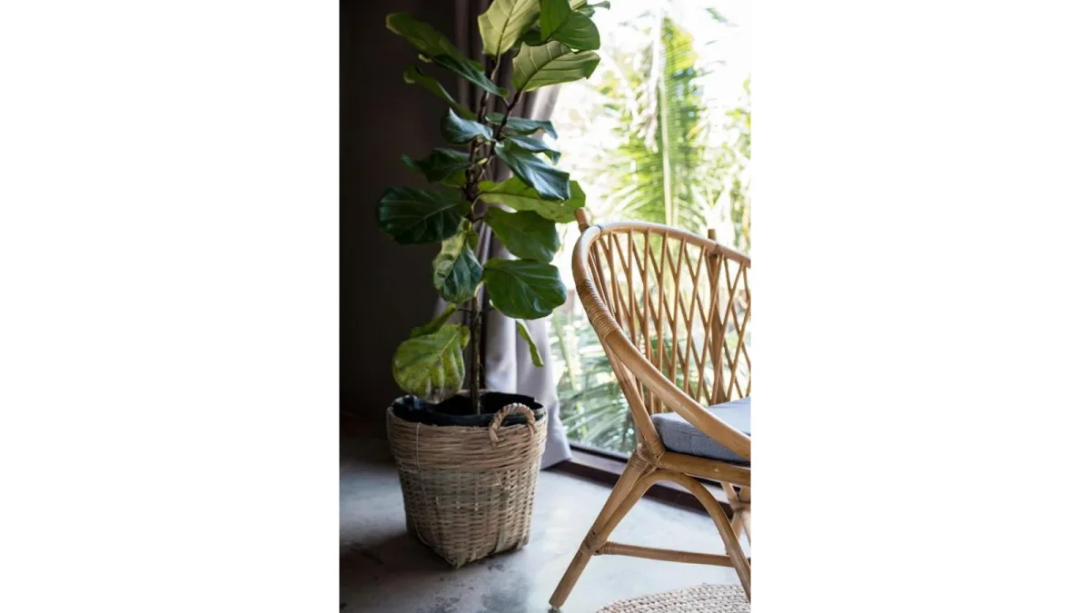 M Resort Phú Quốc