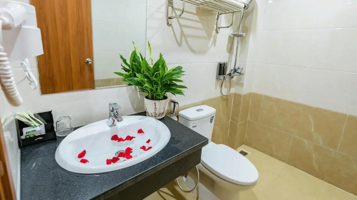 Khách sạn Cát Bà Violet Hotel