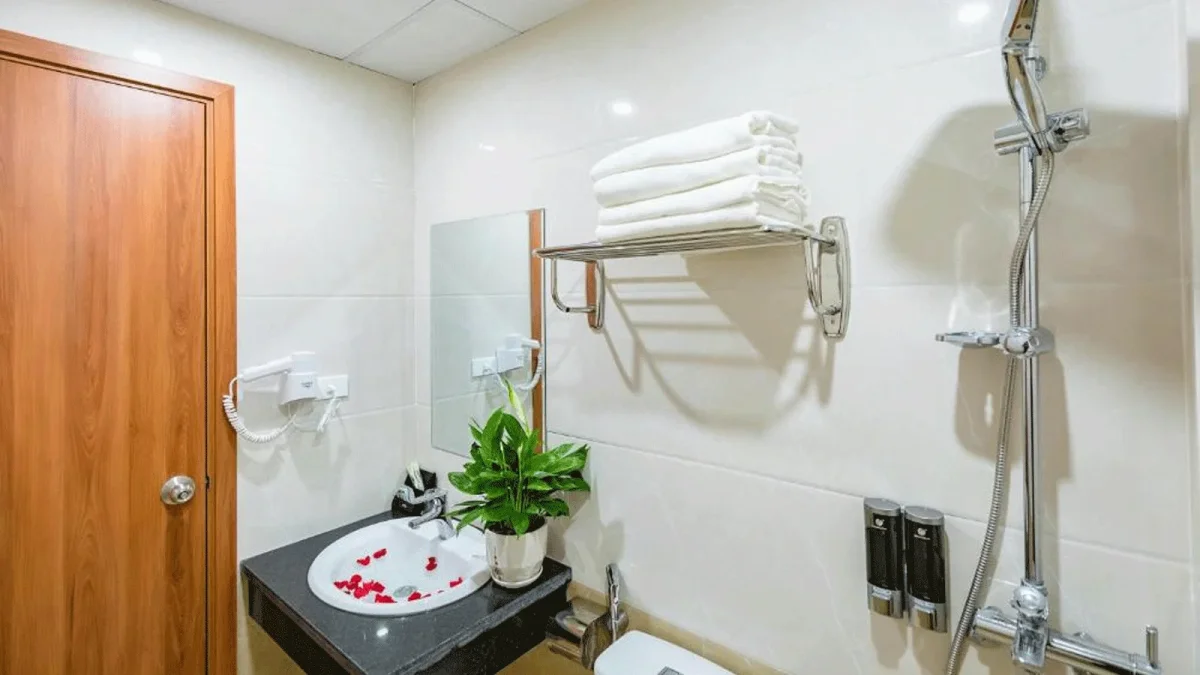 Khách sạn Cát Bà Violet Hotel