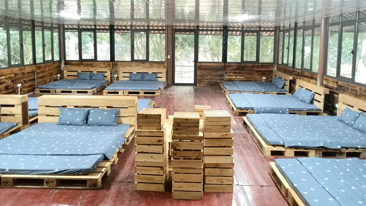 Homestay My Camping Sóc Sơn Hà Nội
