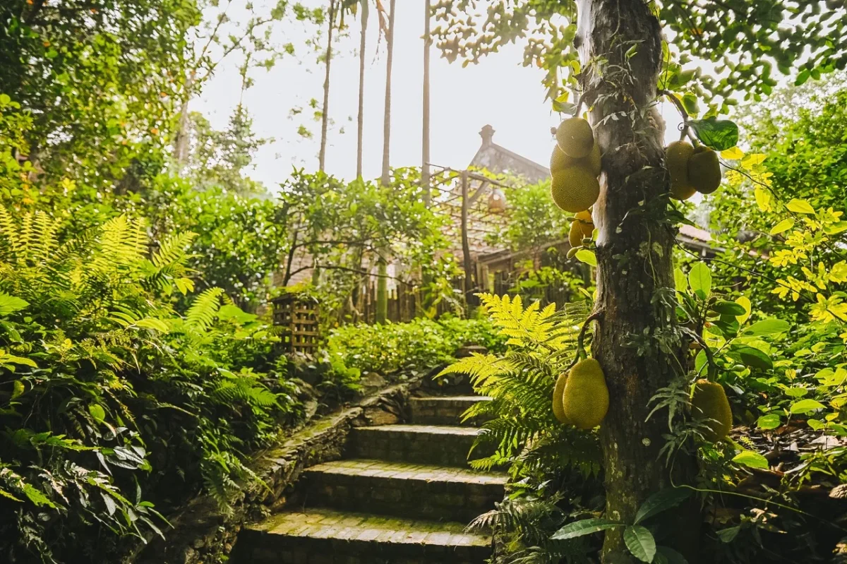 Homestay Rùa House Hill Top Hà Nội