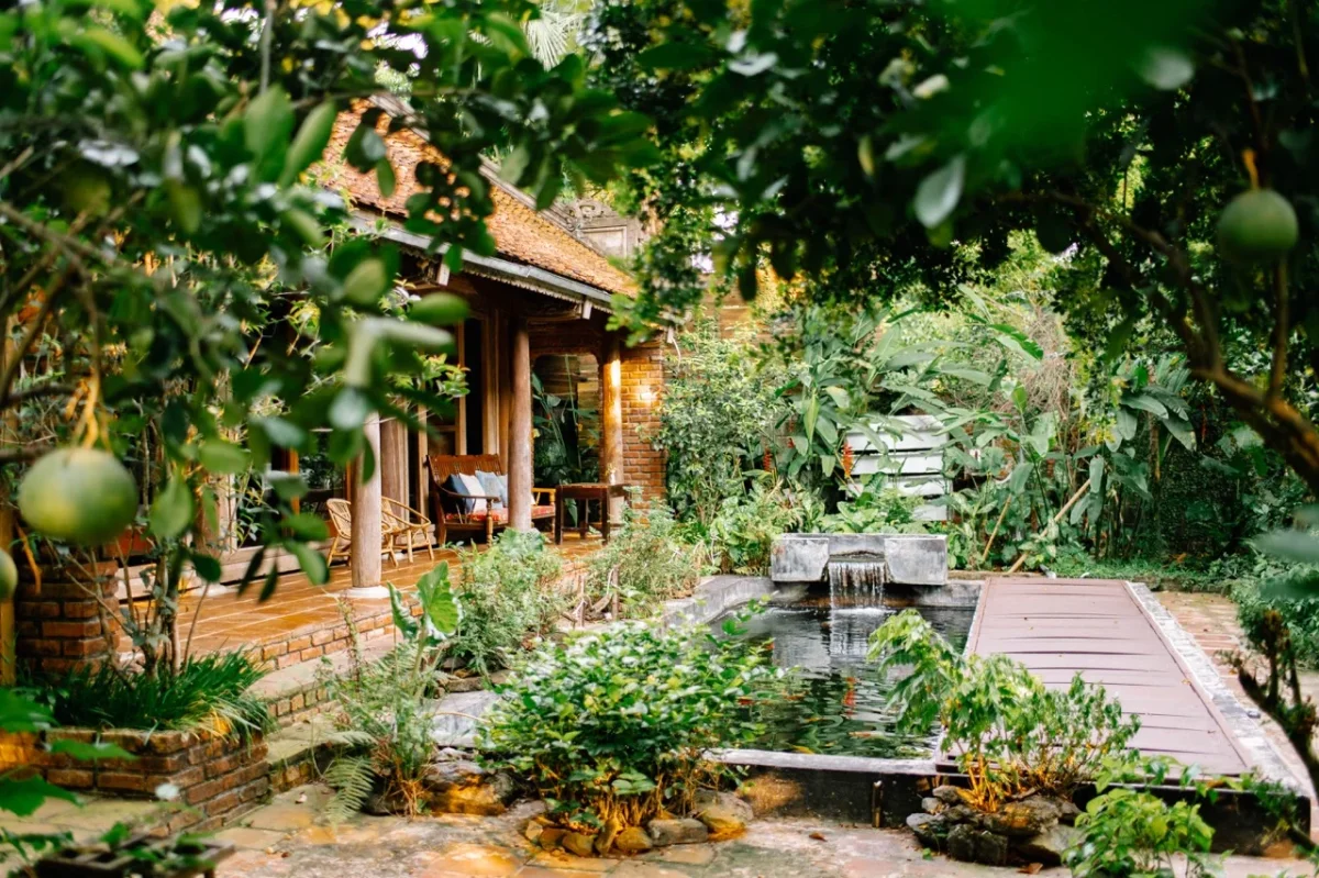 Homestay Rùa House Hill Top Hà Nội