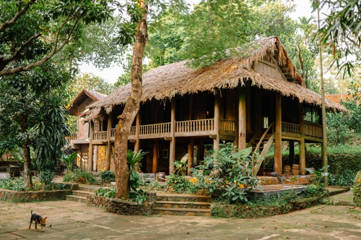 Homestay Rùa House Hill Top Hà Nội