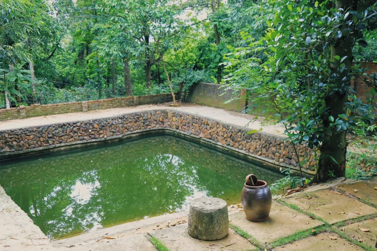 Homestay Rùa House Hill Top Hà Nội