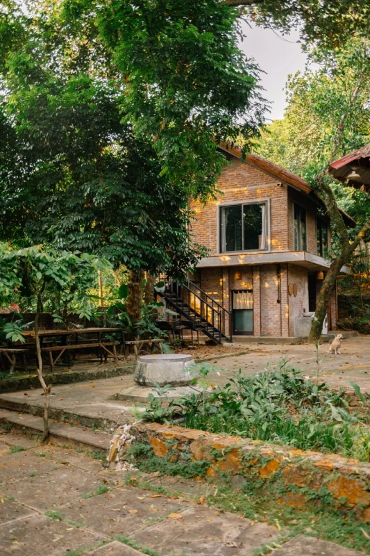 Homestay Rùa House Hill Top Hà Nội