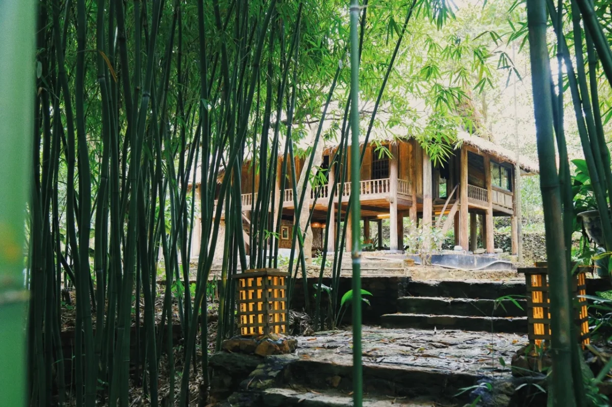 Homestay Rùa House Hill Top Hà Nội