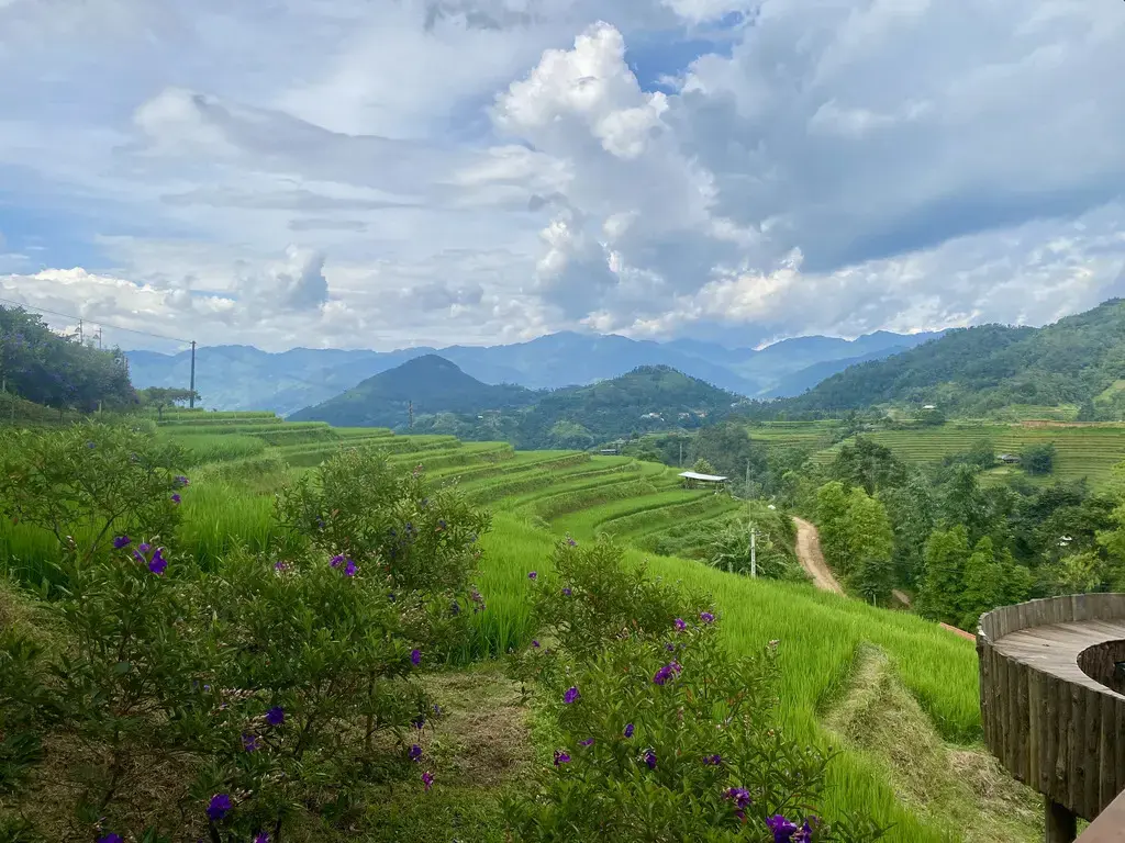 Khu nghỉ dưỡng Bồng Bềnh Retreat Hà Giang