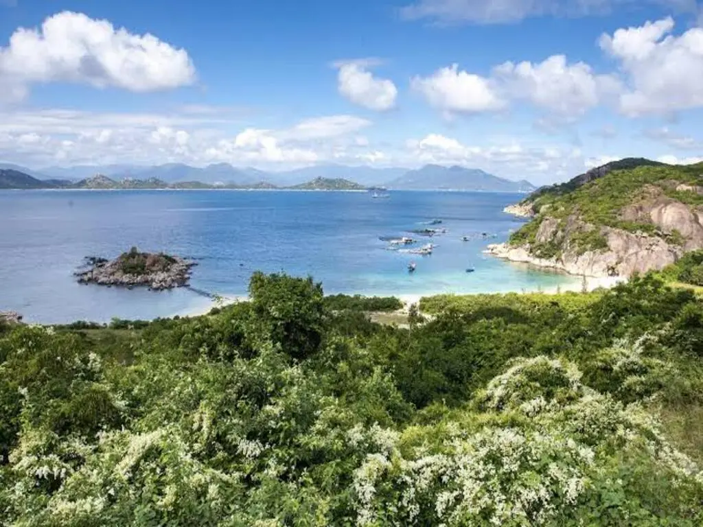 Tour Khám Phá Đảo Tôm Hùm Bình Ba 1 ngày