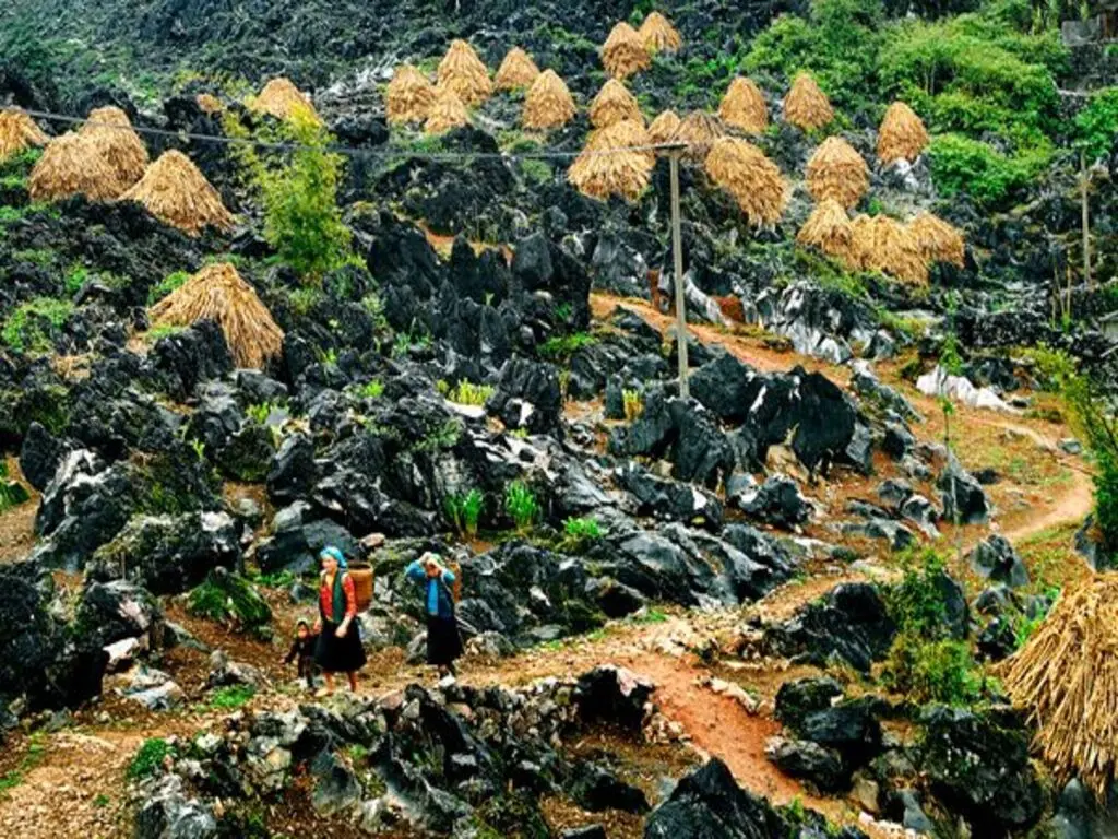 Tour Hà Nội - Hà Giang - Cao Nguyên đá Đồng Văn - Khuổi My 3 ngày 4 đêm