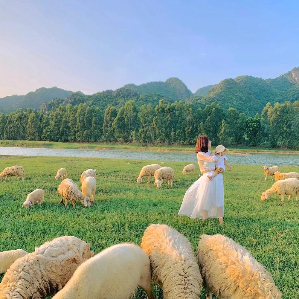 Tour Hang Rái - Vườn Nho - Vĩnh Hy - Đồng Cừu 1 ngày