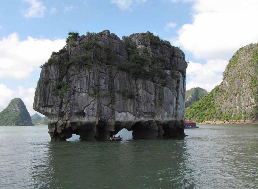 Vịnh Hạ Long - Hòn Chó Đá – Hòn Đinh Hương – Hòn Gà Chọi - Hang Sửng Sốt - Kayak - Đảo Ti Top - 1 ngày