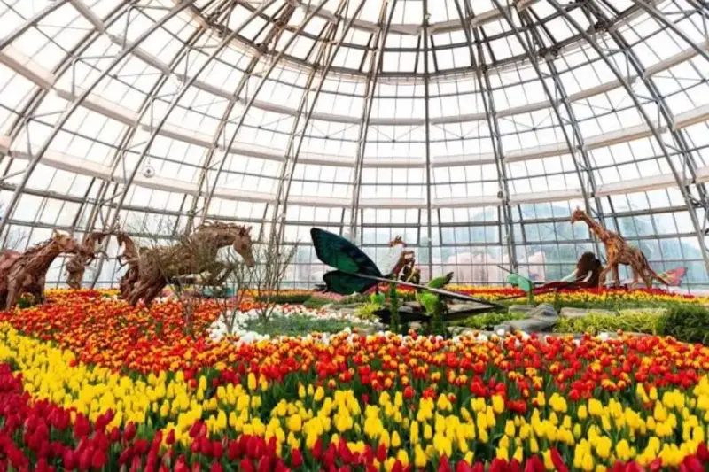 Tour Nha Trang - Đà Lạt 2 Ngày 1 Đêm
